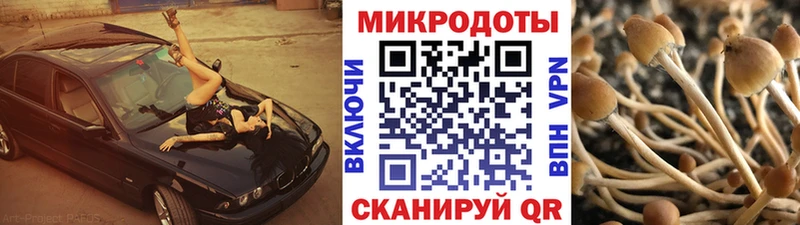 Галлюциногенные грибы Magic Shrooms Макарьев